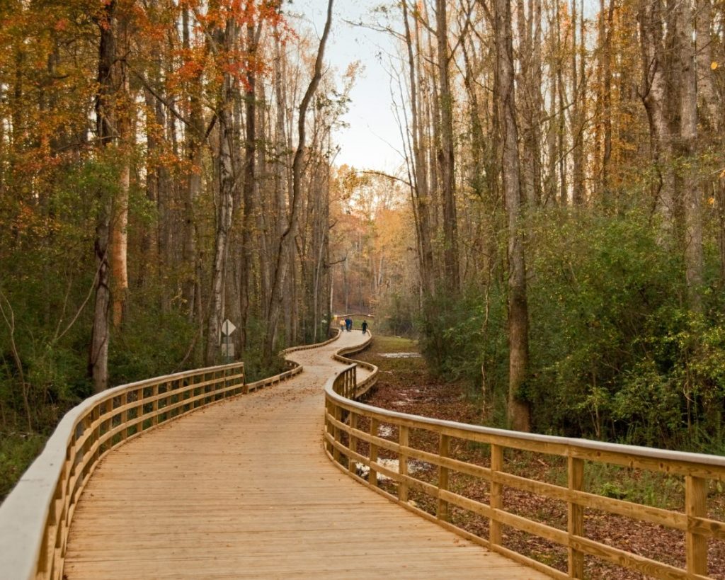 Best Place to Propose in Cumming, GA 