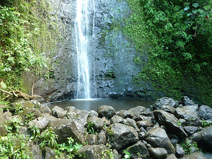 Best Place to Propose in Honolulu, HI