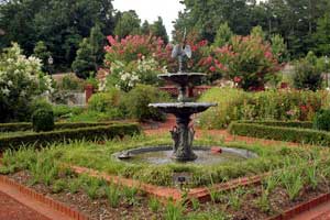Best Places to Propose in Athens, GA