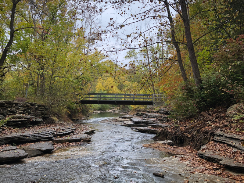 Best Place to Propose in Bella Vista, AR