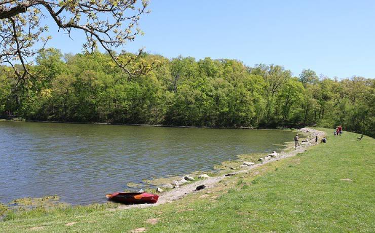 Best Place to Propose in Cameron, MO