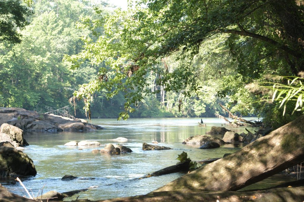 Best Place to Propose in Columbia, SC