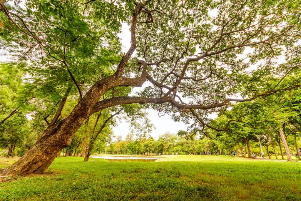 Best Place to Propose in Columbus, OH