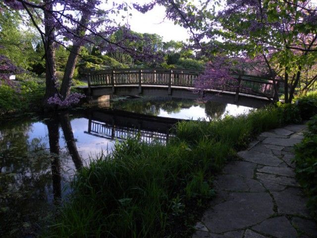 Best Place to Propose in Madison, WI