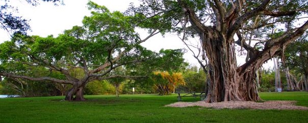 Best Place to Propose in Miami, FL 