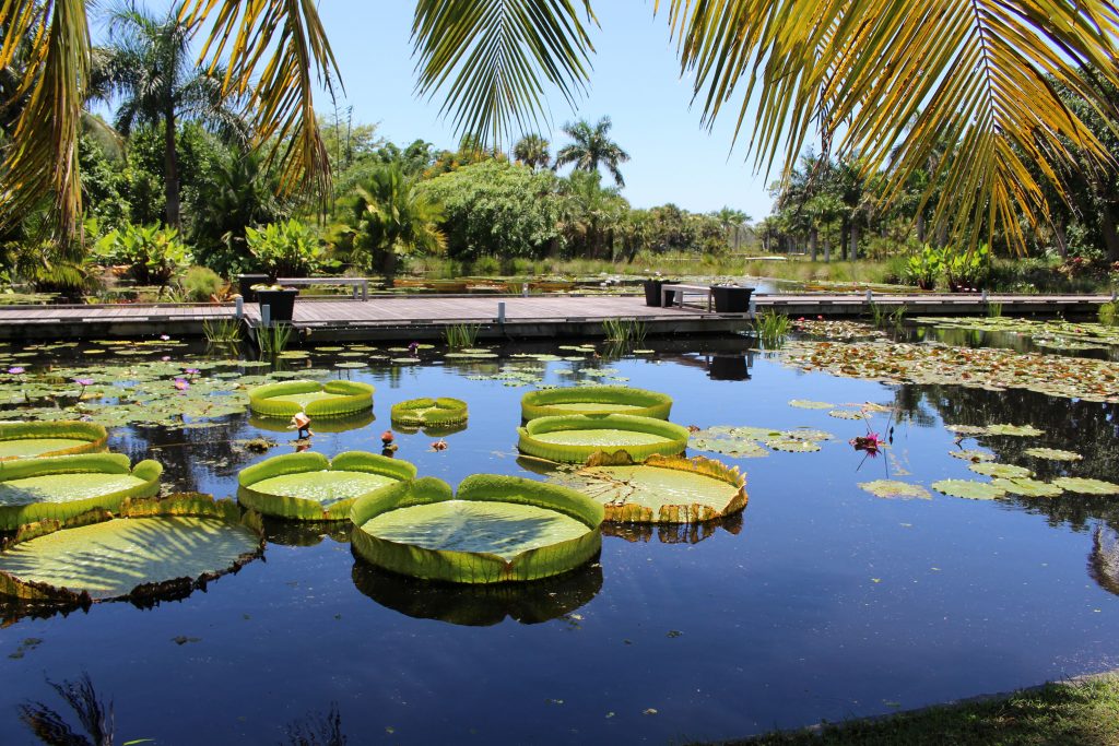 Best Place to Propose in Naples, FL