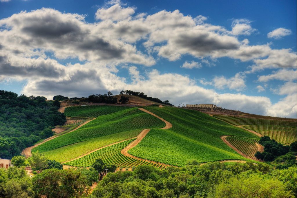 Best Place to Propose in Paso Robles, CA