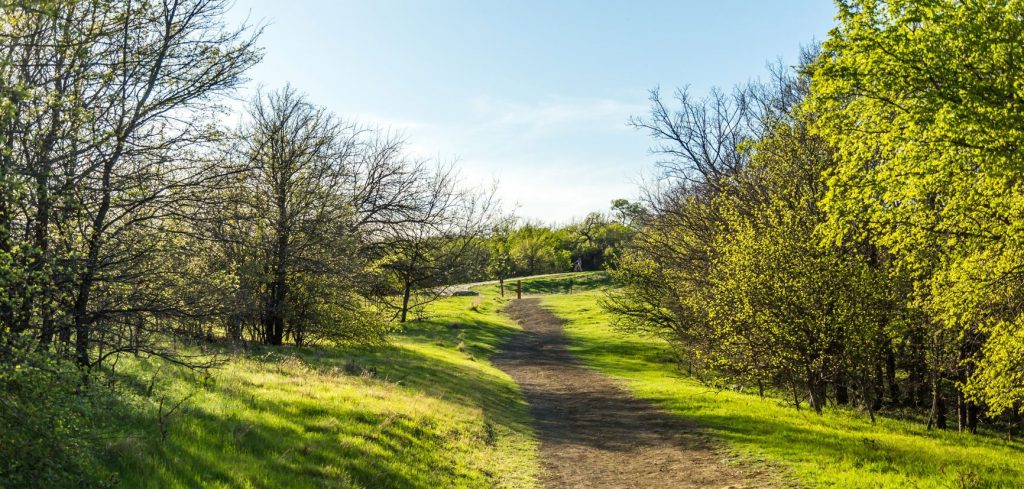 Best Place to Propose in Plano, TX