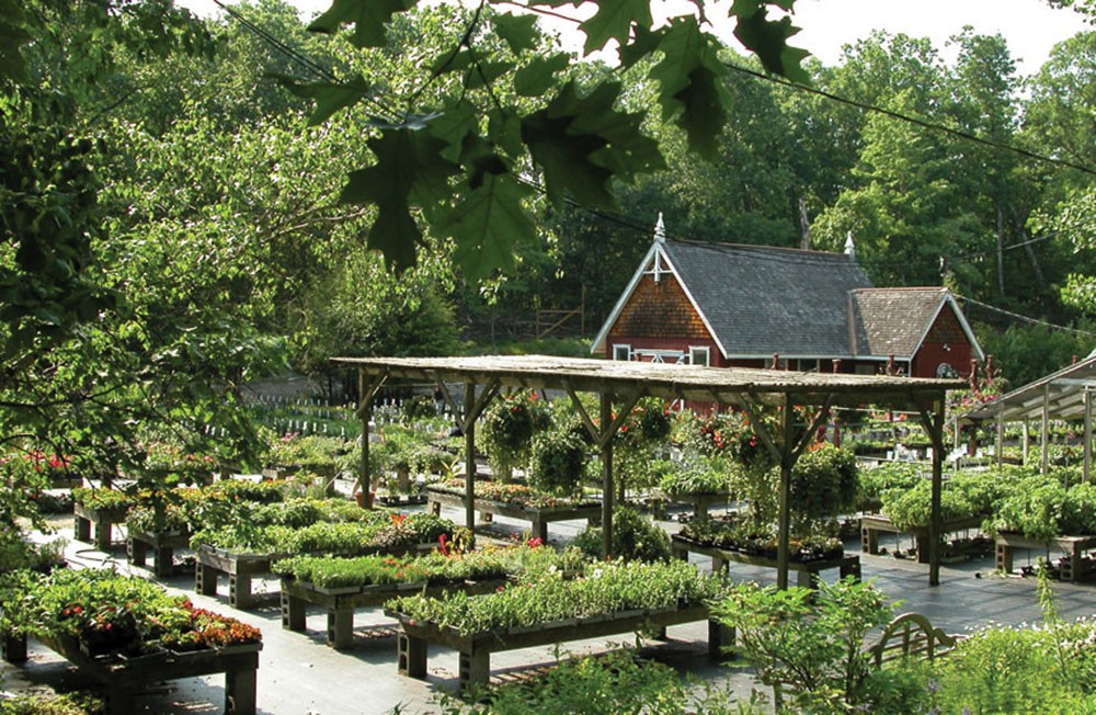 Best Place to Propose in Rhinebeck, NY