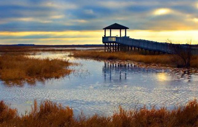 Best Place to Propose in Sulphur, LA