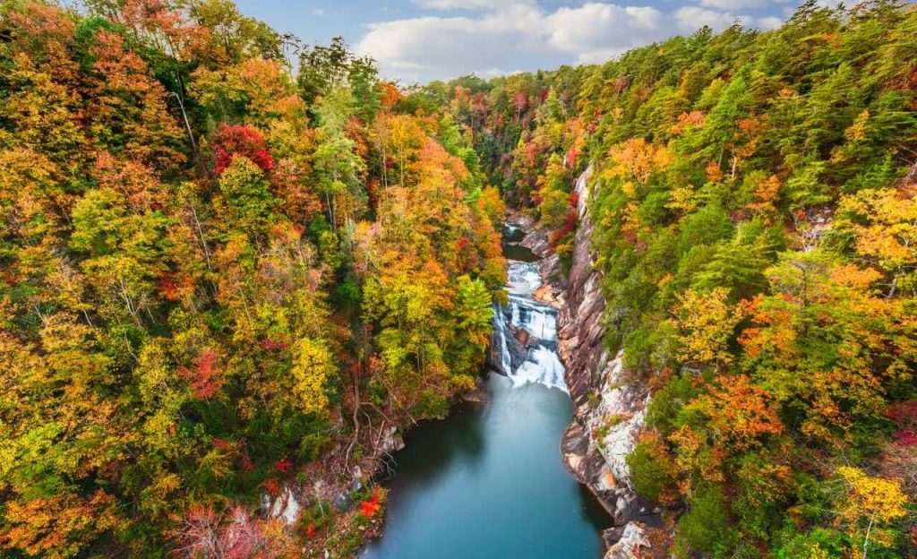 Best Place to Propose in Vidalia, GA