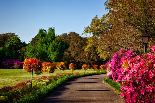 Best Place to Propose in Thousand Oaks, CA