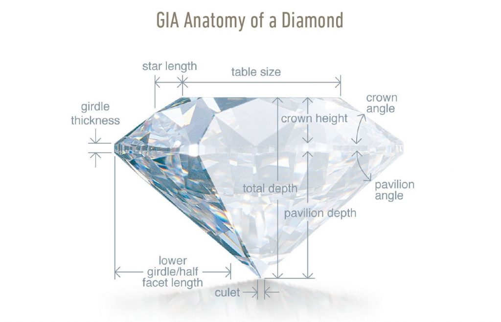 GIA GG Program - Anatomy